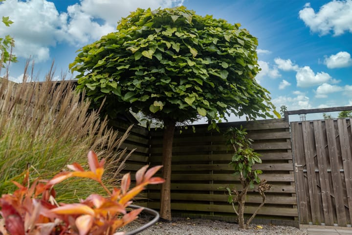 Foto 21 van ter Woordstraat 15