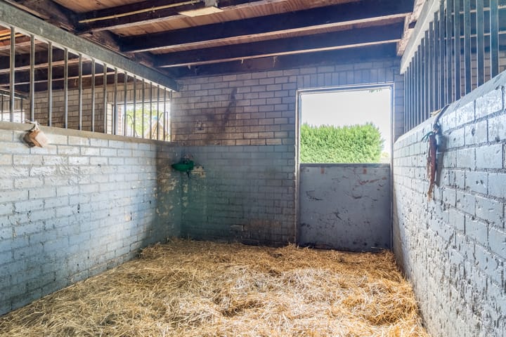 Foto 56 van Kreitenmolenstraat 222