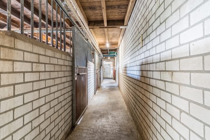 Foto 57 van Kreitenmolenstraat 222