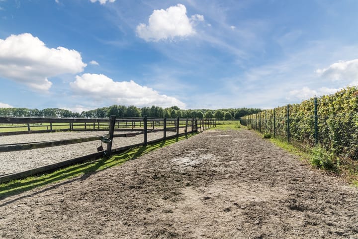 Foto 69 van Kreitenmolenstraat 222