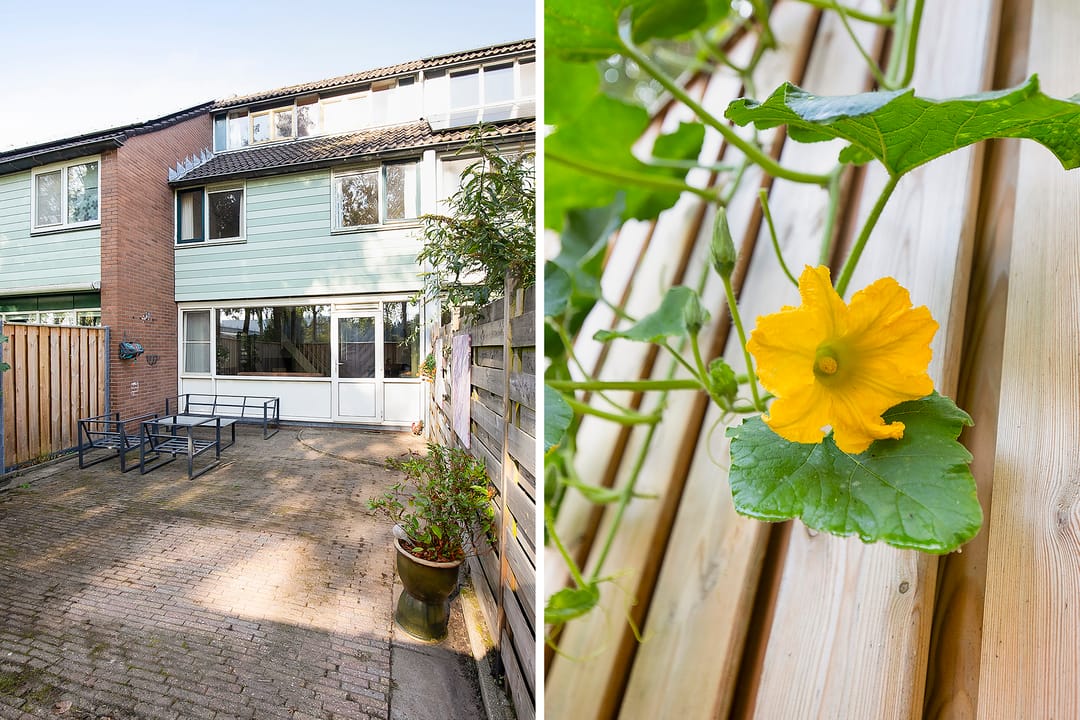 Foto 26 van Vronen 64