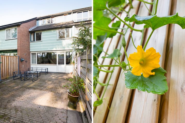 Foto 26 van Vronen 64