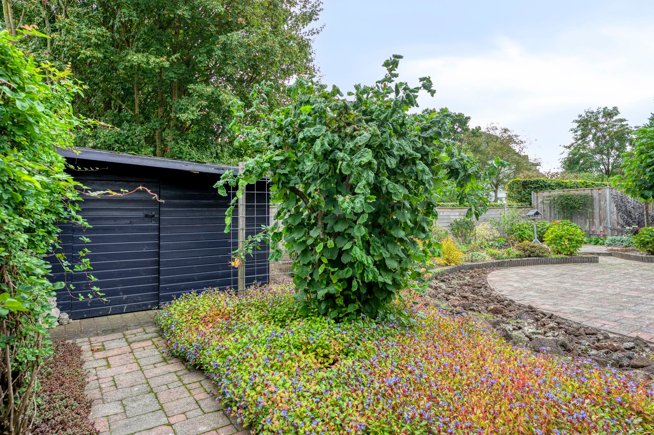 Photo 27 of Halfeweg 16