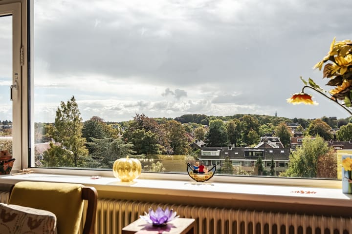 Foto 12 van Zandvoorter Allee 252