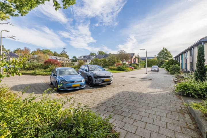 Photo 4 of Schelde 68