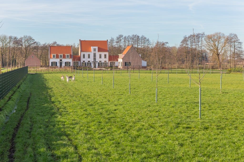 Foto 4 van Zeggelaarspad 2-C