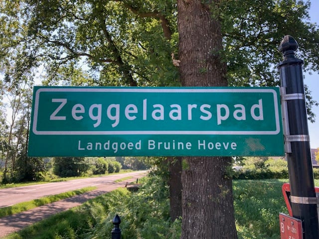 Foto 41 van Zeggelaarspad 2-C