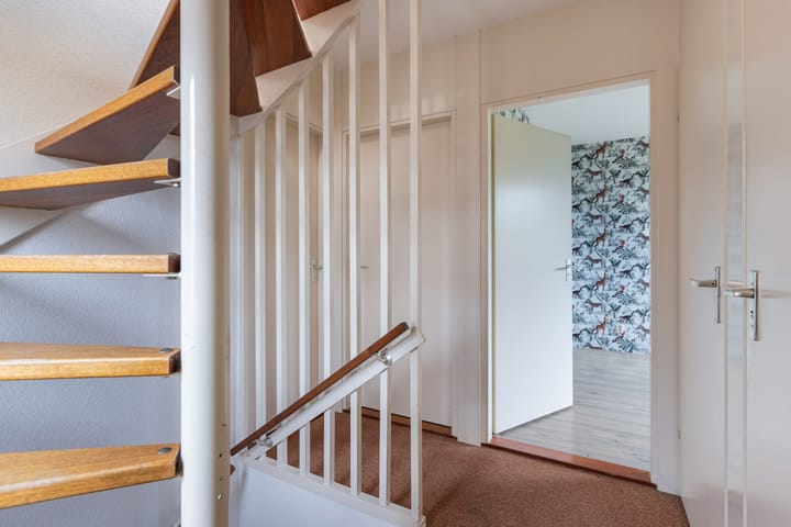 Photo 28 of Botter 38 48