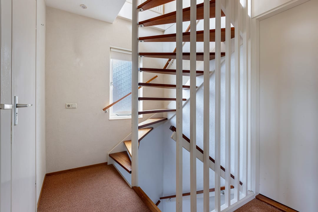 Foto 38 van Botter 38 48