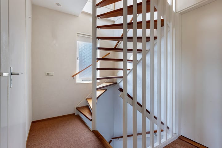 Photo 38 of Botter 38 48