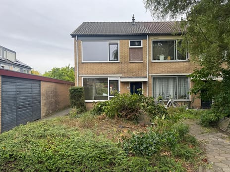 undefined main image