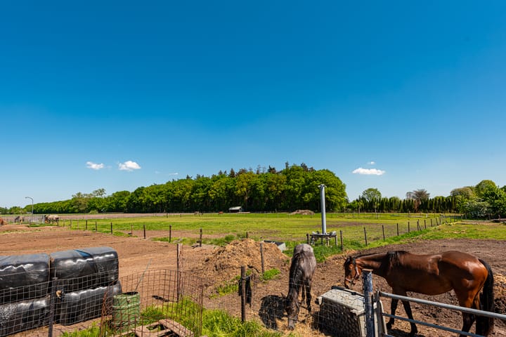 Foto 38 van Prinsenweg 8