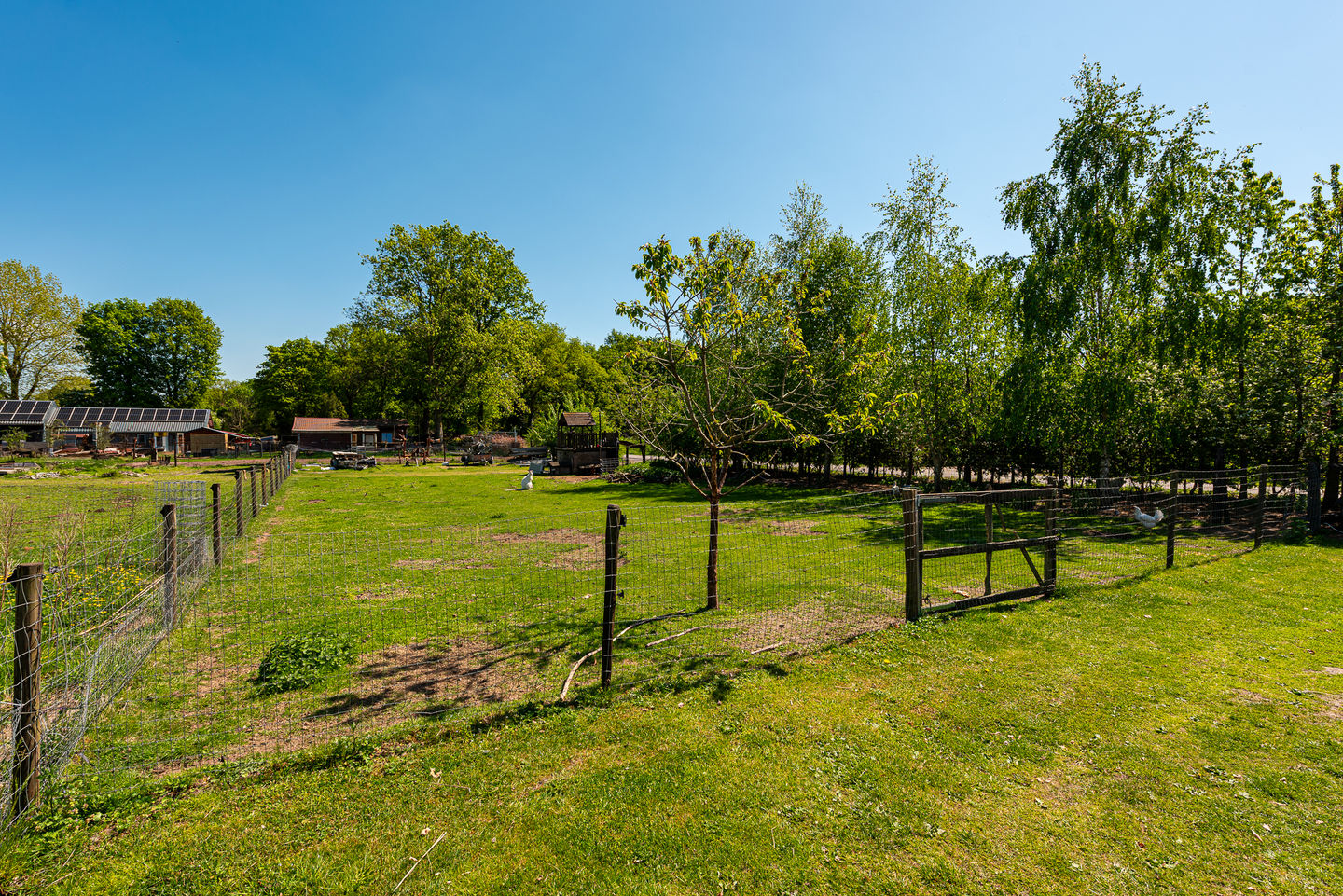 Foto 40 van Prinsenweg 8