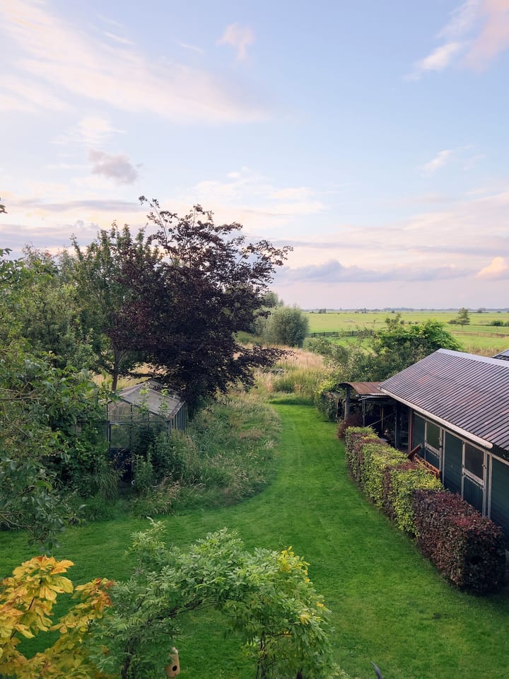 Photo 6 of Opperduit 334