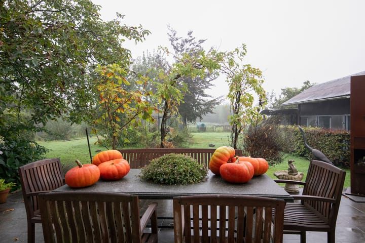 Photo 63 of Opperduit 334