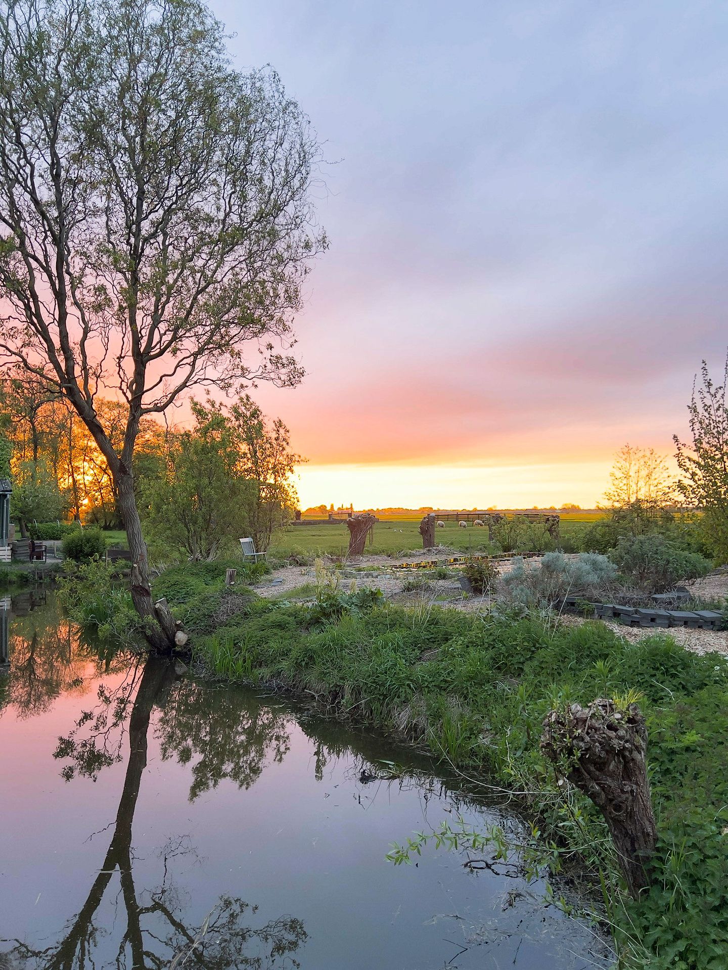 Foto 65 van Opperduit 334