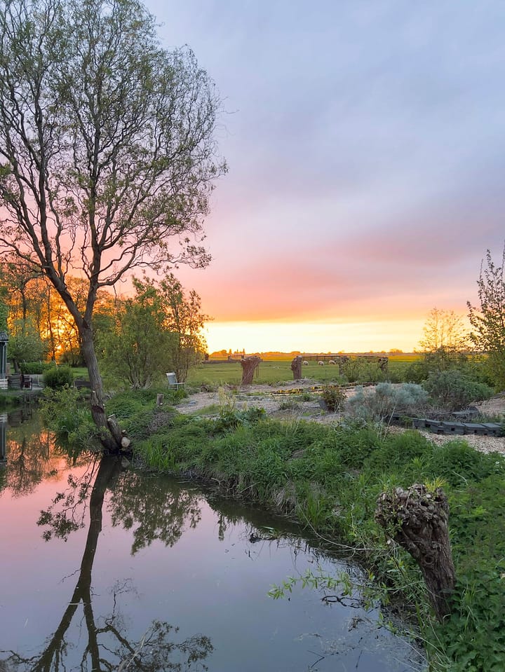 Photo 65 of Opperduit 334