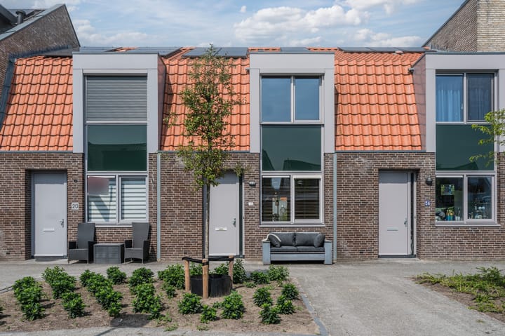 Foto 5 van Boterbloem 22