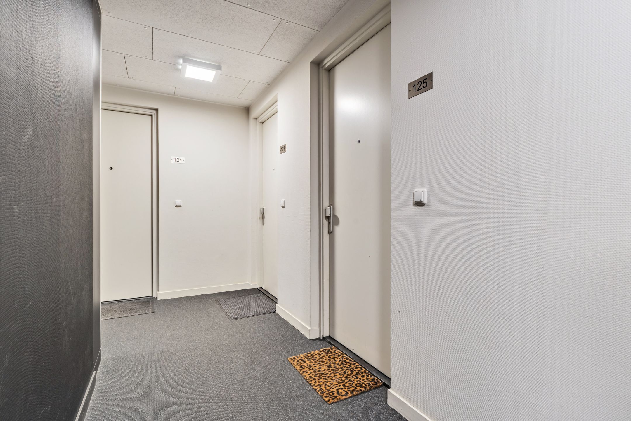 Foto 12 van Dirk Hartogstraat 125