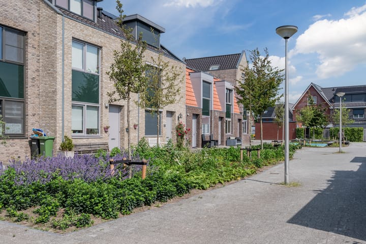 Foto 36 van Boterbloem 22