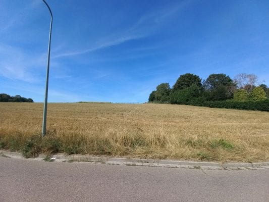 Foto 2 van Titus Brandsmastraat 40