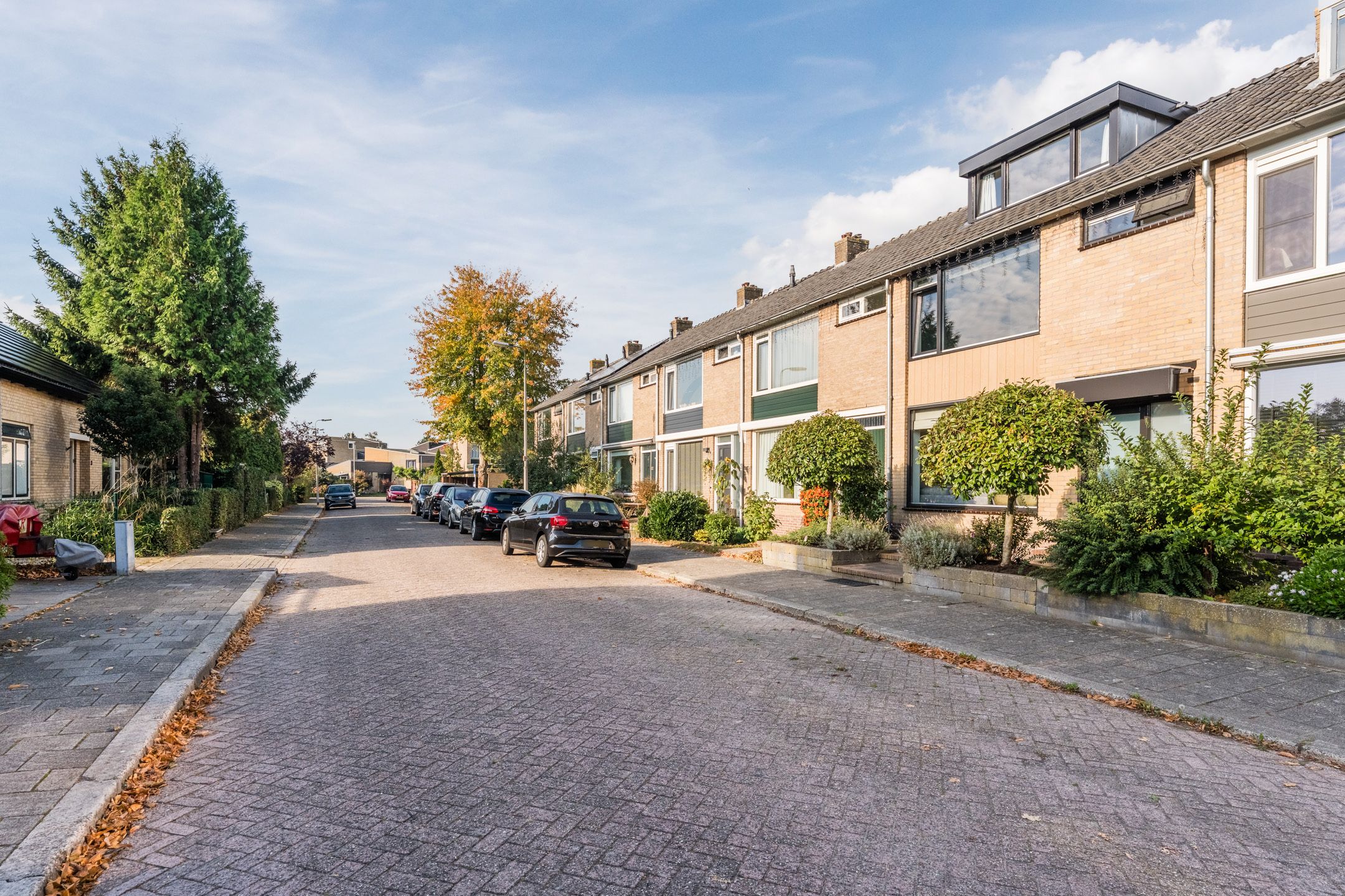 Foto 42 van Reigerlaan 6