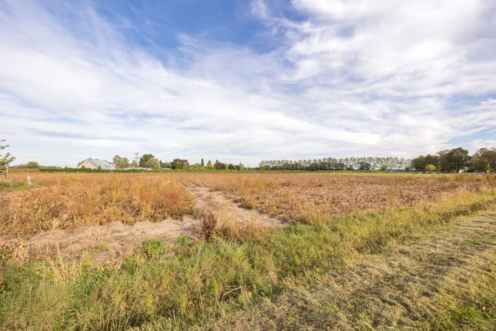 Foto 41 van Standdaarbuitenswegje 3