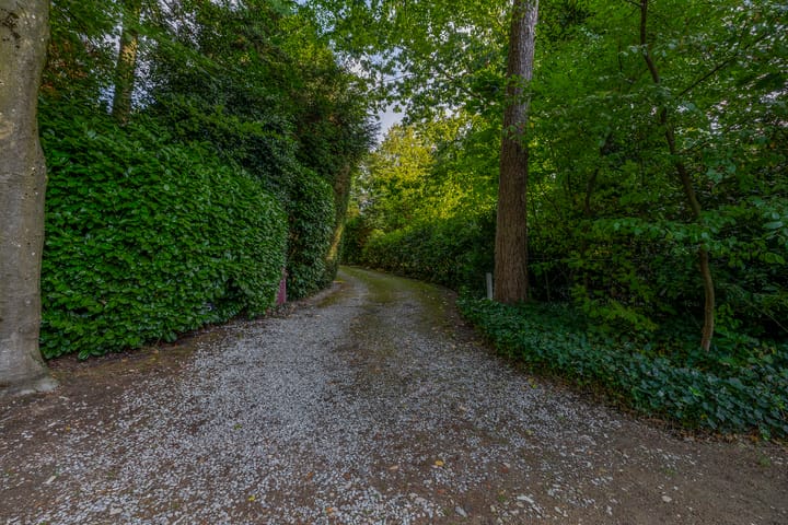 Photo 36 of Westerveldseweg 25