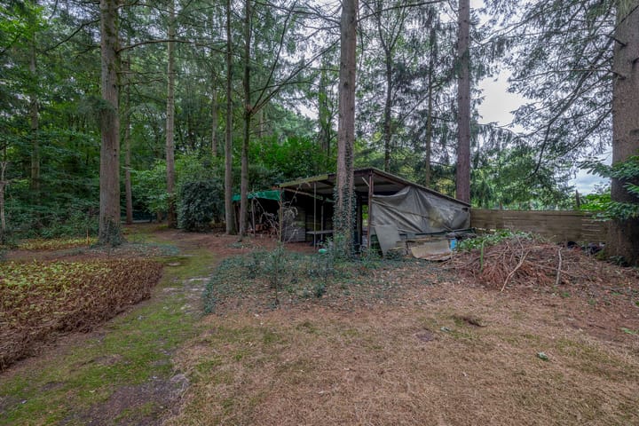 Photo 39 of Westerveldseweg 25