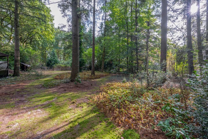 Photo 43 of Westerveldseweg 25