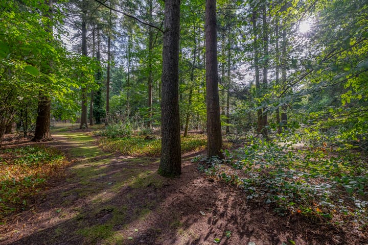 Photo 44 of Westerveldseweg 25