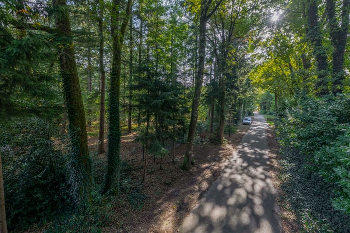 Photo 53 of Westerveldseweg 25