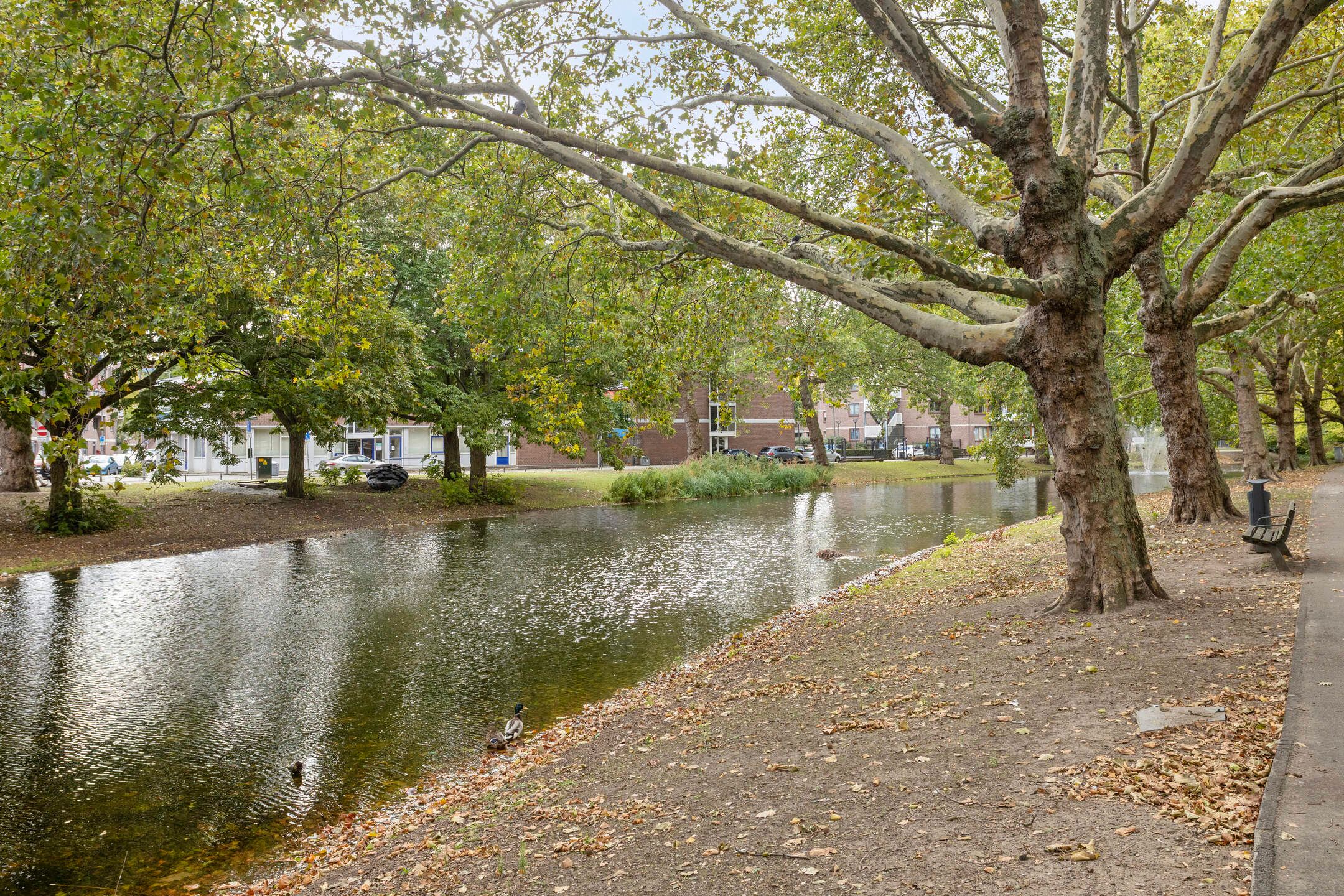 Photo 18 of Crooswijkseweg 125-D