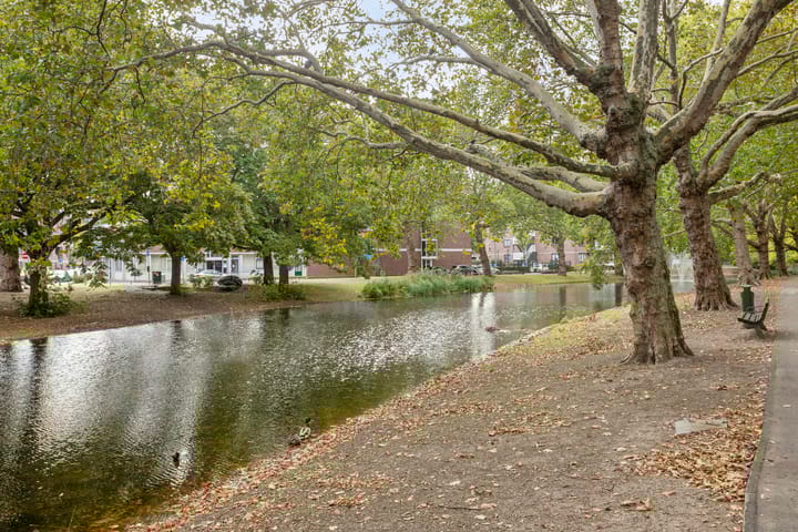 Foto 18 van Crooswijkseweg 125-D