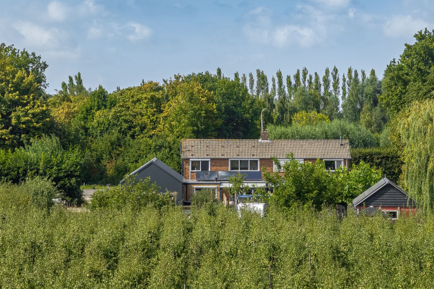 Foto 4 van Dijkwelseweg 19