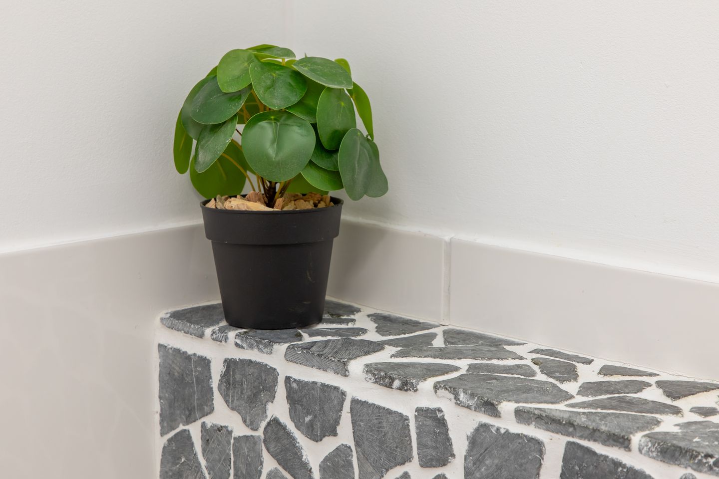 Foto 50 van Dijkwelseweg 19