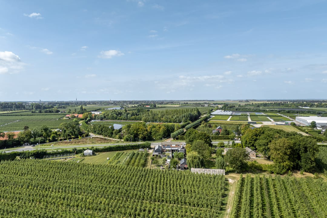 Foto 58 van Dijkwelseweg 19