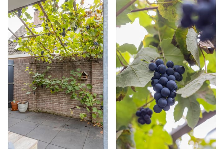 Photo 36 of Zeeltborch 7