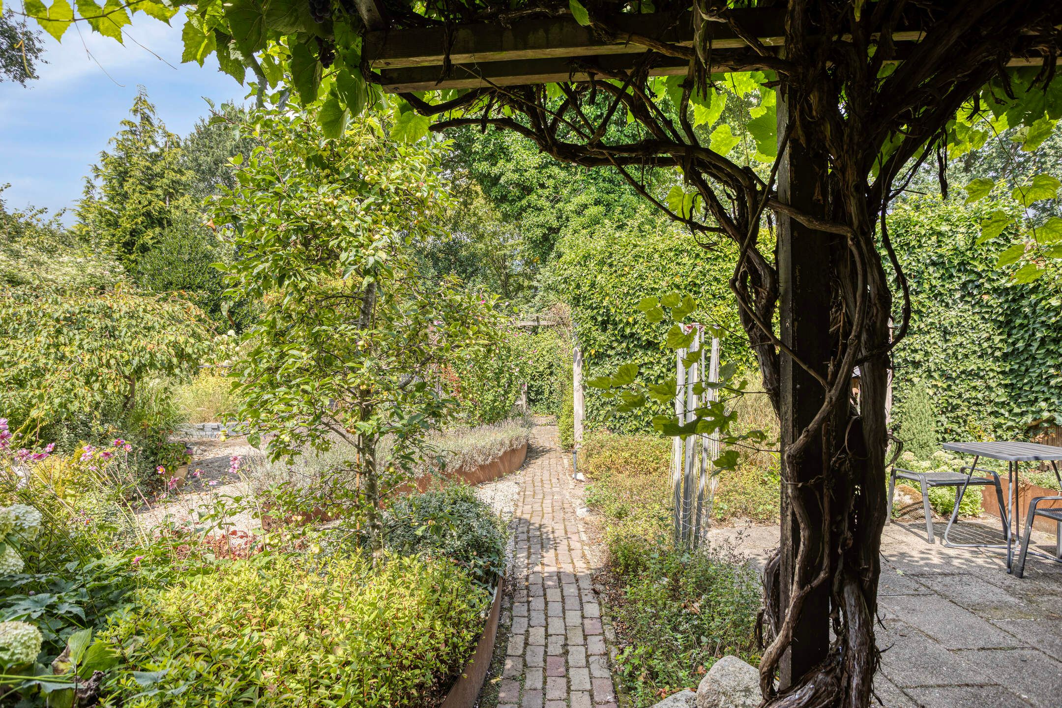 Foto 36 van Bovenmaat 4