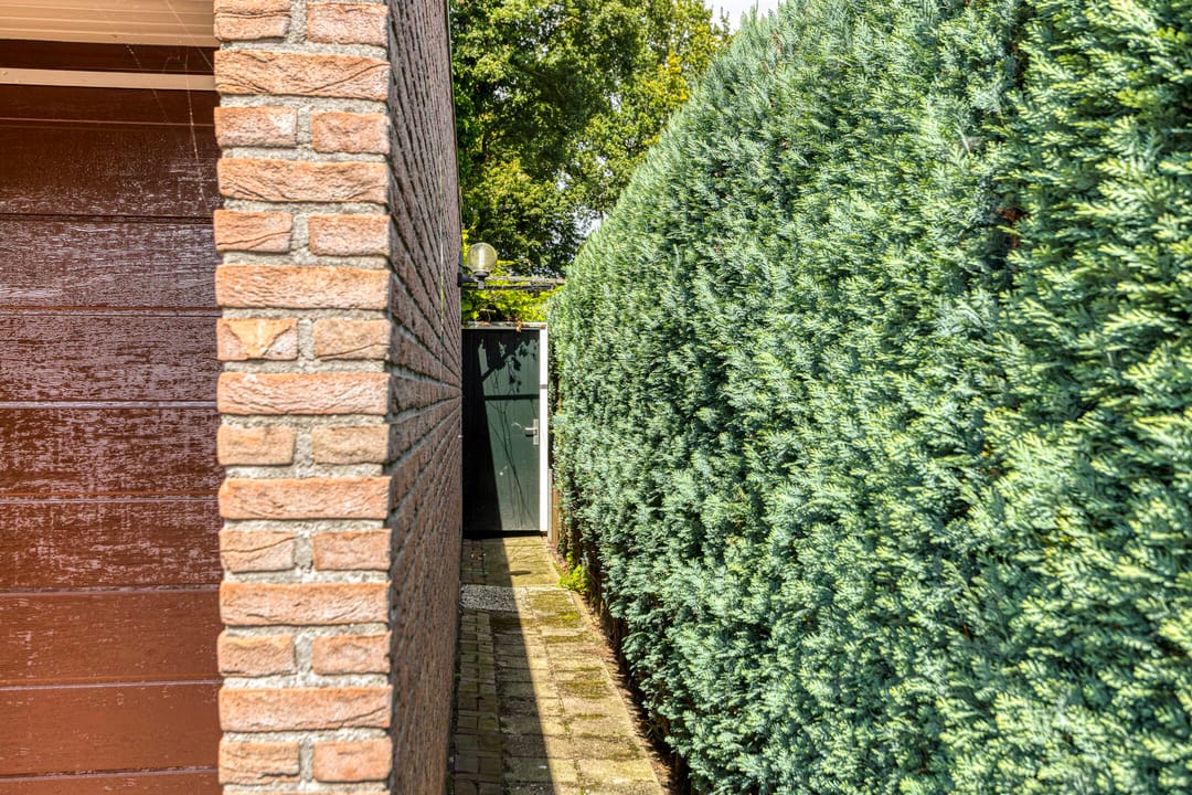 Foto 37 van Bovenmaat 4