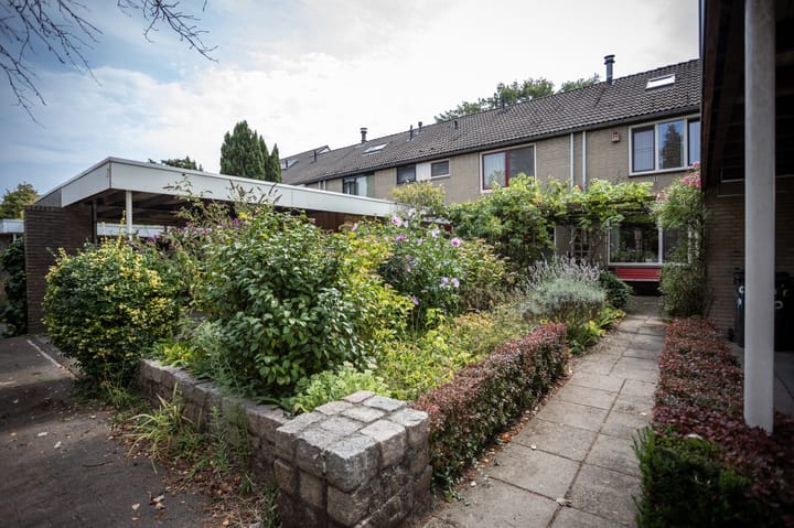 Foto 5 van Zuidewijn 9