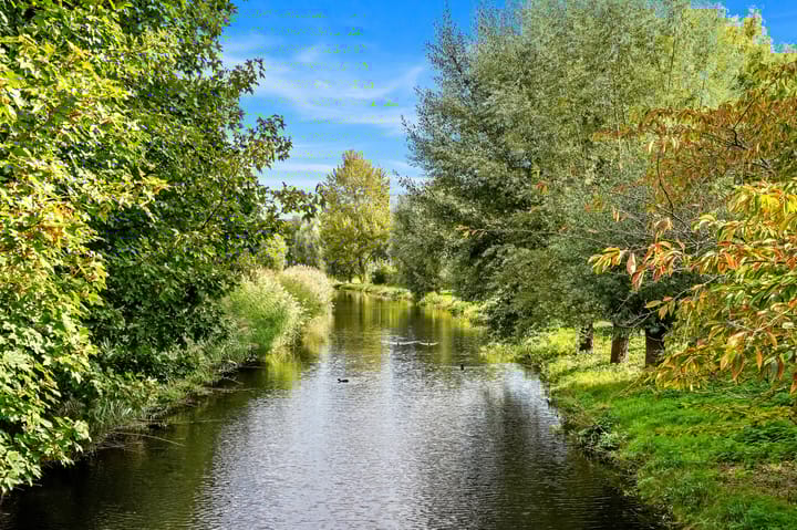 Foto 25 van Schlegelstraat 73