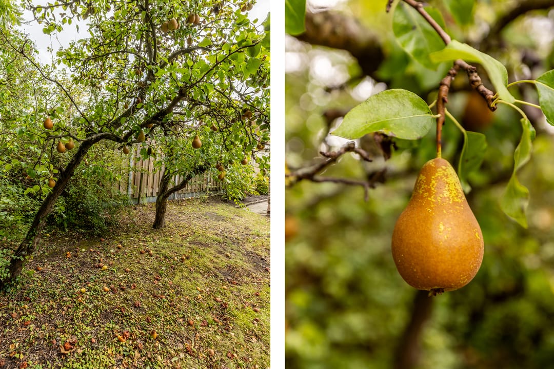 Foto 41 van Julianastraat 4