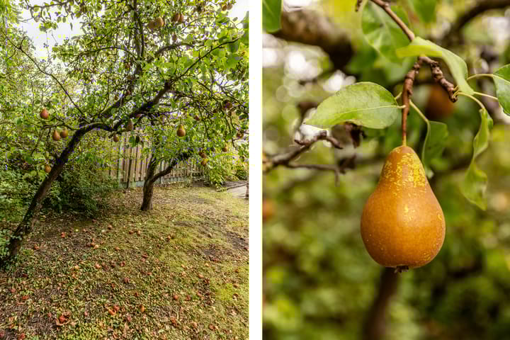 Foto 41 van Julianastraat 4