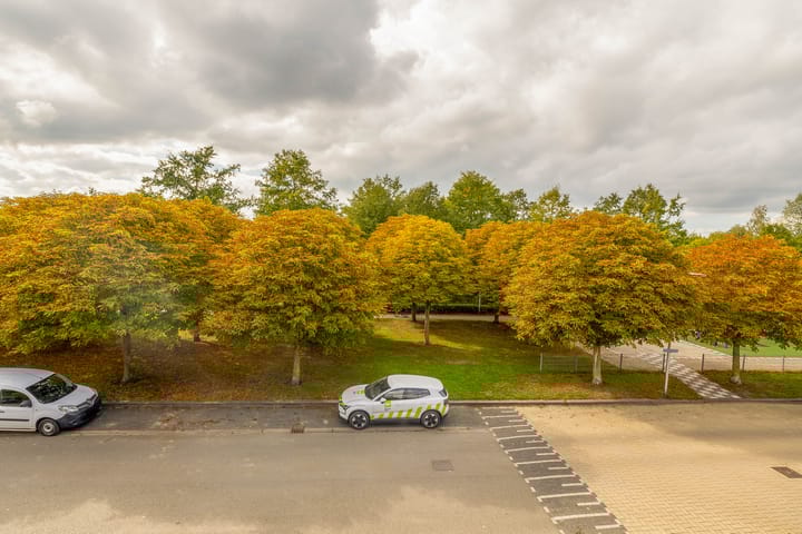 Foto 49 van Rooseveltlaan 7