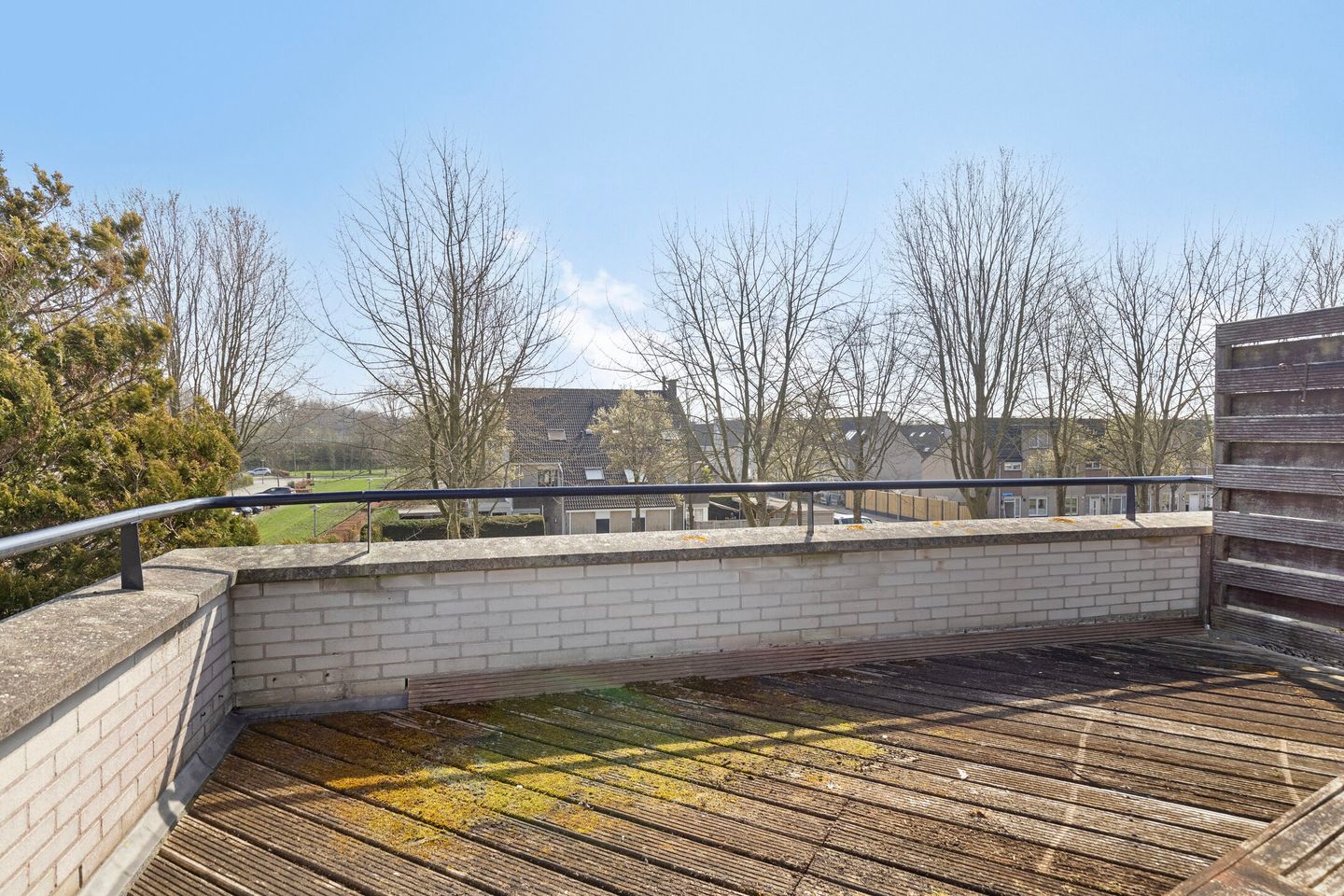 Foto 4 van Springendallaan 2