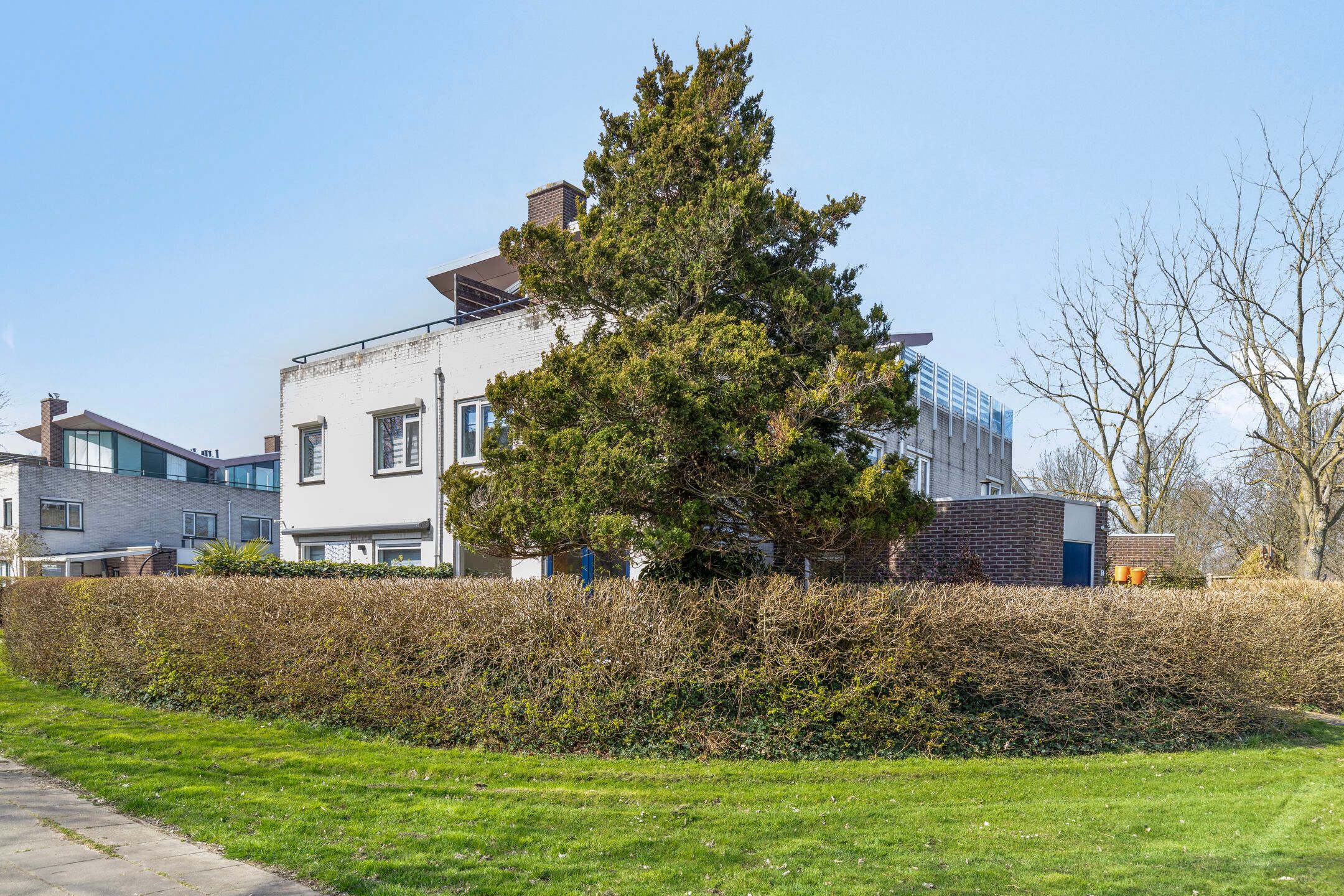 Foto 6 van Springendallaan 2