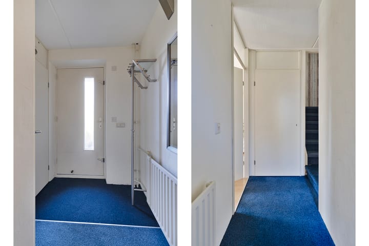 Photo 7 of Springendallaan 2