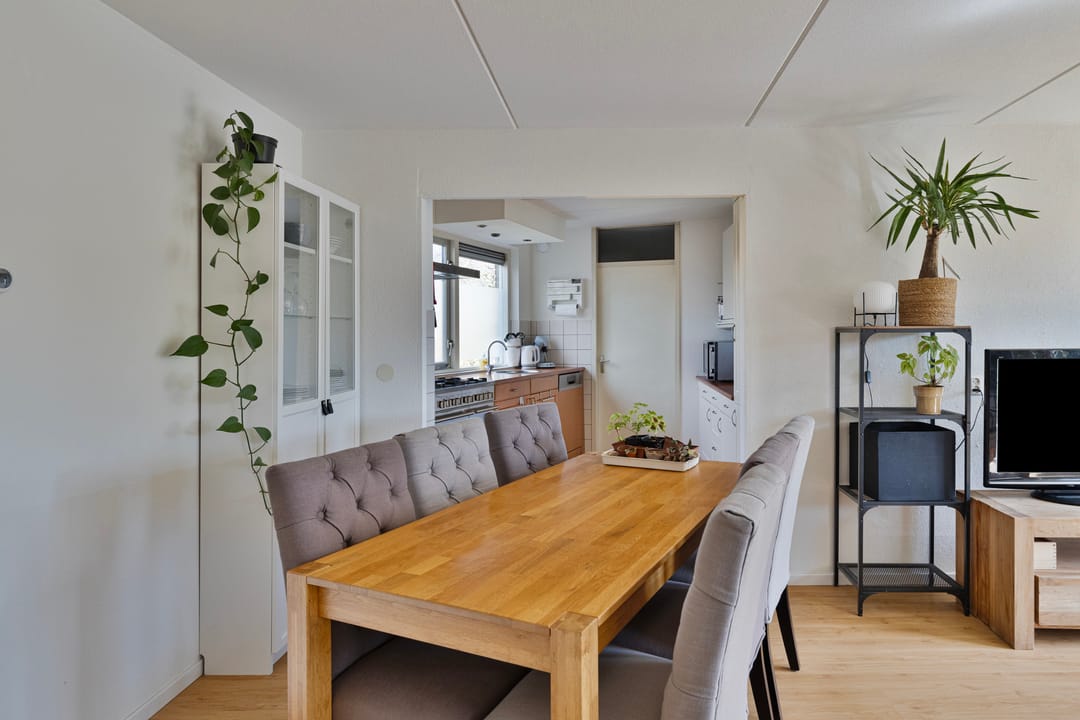 Foto 11 van Springendallaan 2