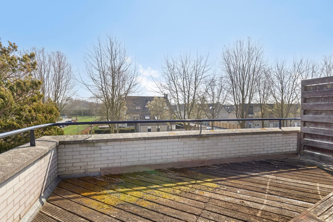 Foto 23 van Springendallaan 2